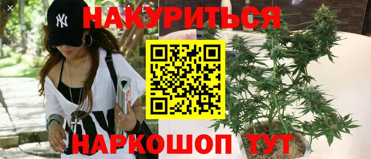 Бошки Шишки SATIVA & INDICA  Бошки Шишки индика  Канабис Ganja  Вход с VPN  Людиново 